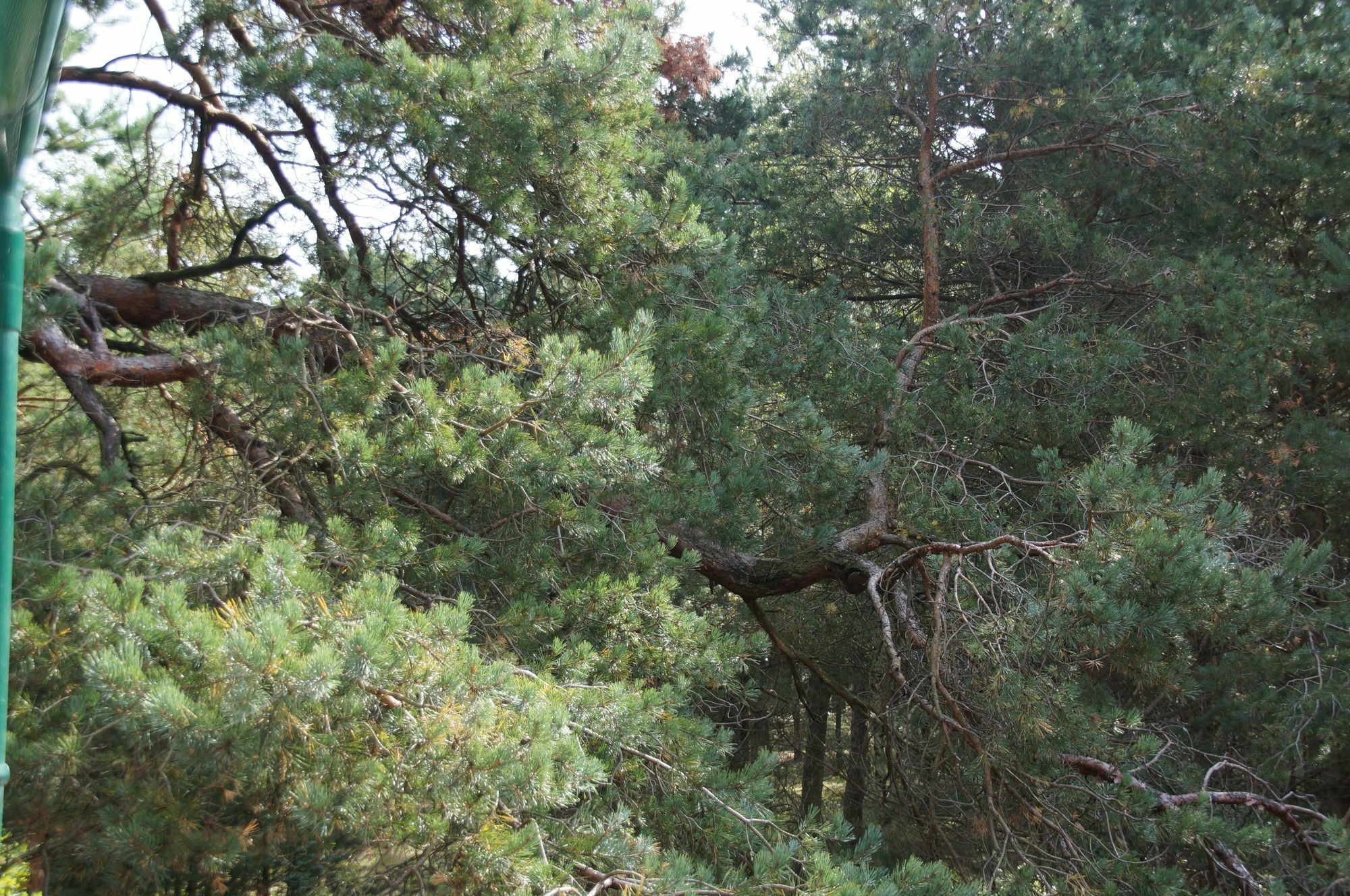 Pelikan Resort Dzwirzyno - Domki Przy Plazy Bagian luar foto