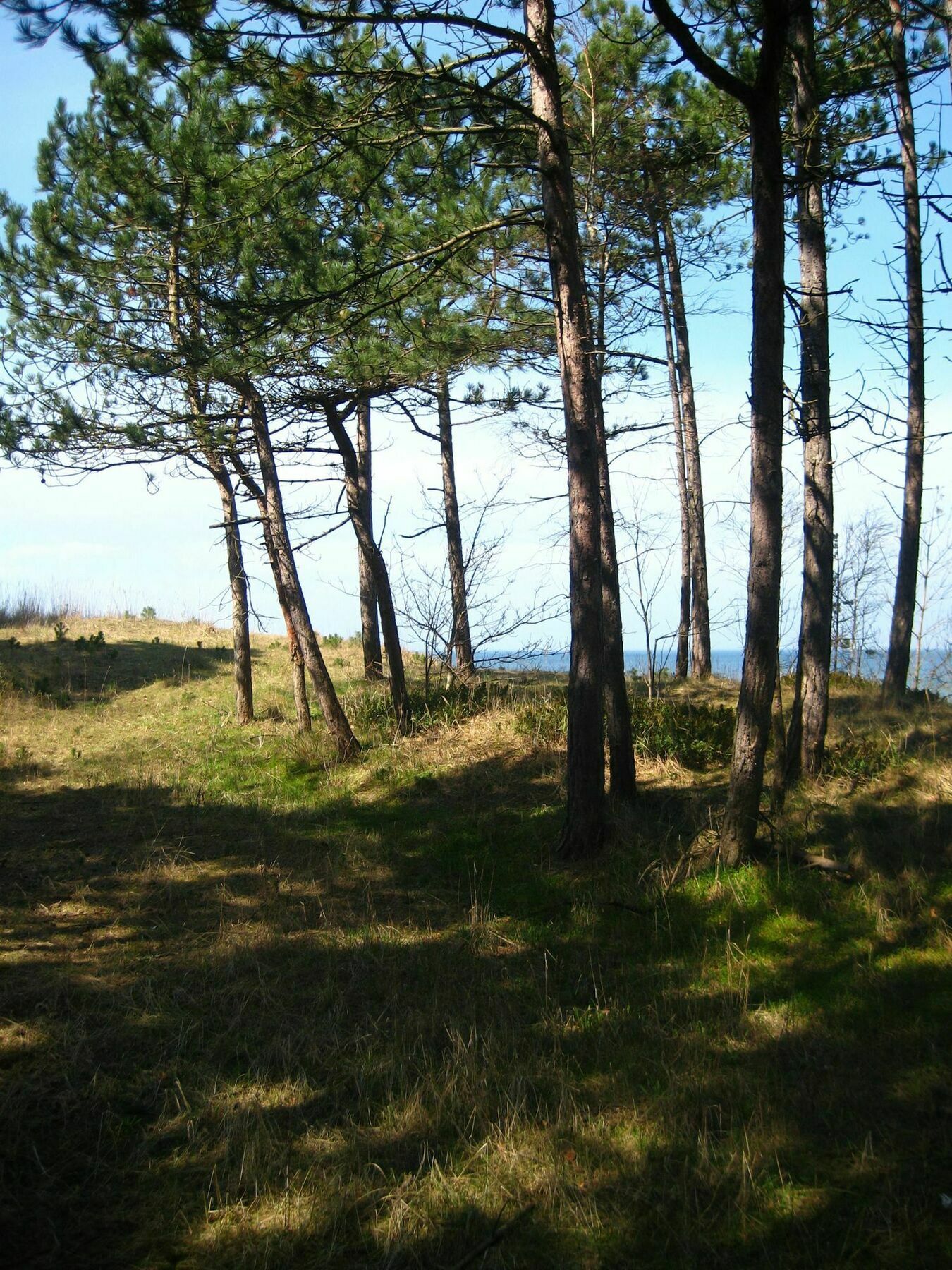 Pelikan Resort Dzwirzyno - Domki Przy Plazy Bagian luar foto